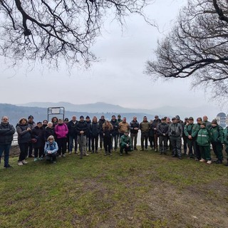 Focus sugli uccelli ittiofagi del Lago d'Orta e formazione per guardie e volontari