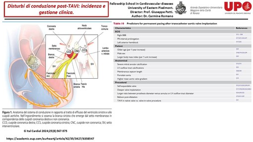 Meeting di Cardiologia all'Upo: focus sulla gestione dei disturbi della conduzione post-Tavi