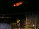 Fiamme sopra il Lago d’Orta tra Miasino e Pettenasco