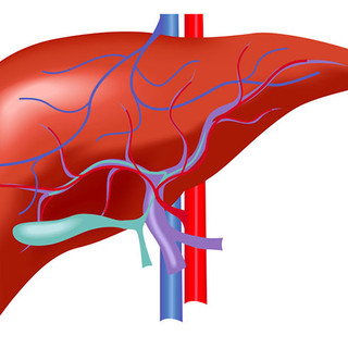 A Novara il terzo incontro nazionale sul colangiocarcinoma