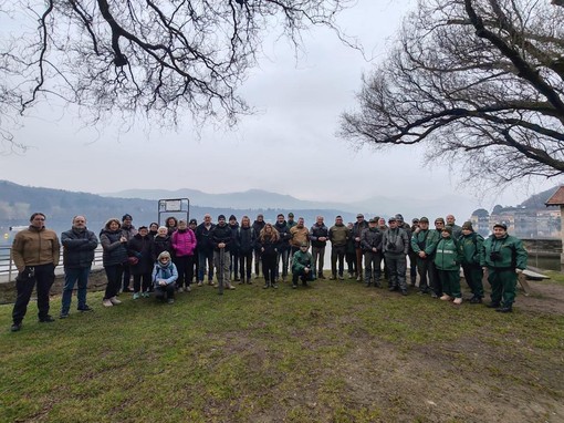 Focus sugli uccelli ittiofagi del Lago d'Orta e formazione per guardie e volontari