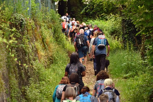 Girolago: Un'escursione autunnale tra natura, cultura e tradizioni