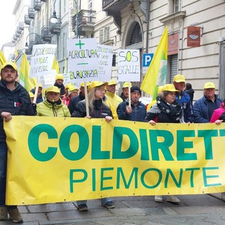 Coldiretti: una avanguardia di mille imprenditori davanti alla Regione per difendere l’agricoltura