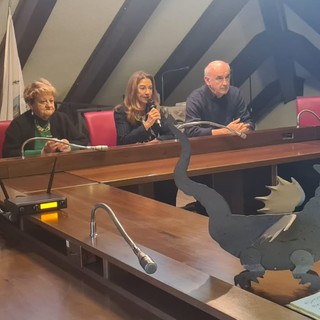 Convegno sull'Isola di San Giulio: riflessioni storiche e artistiche