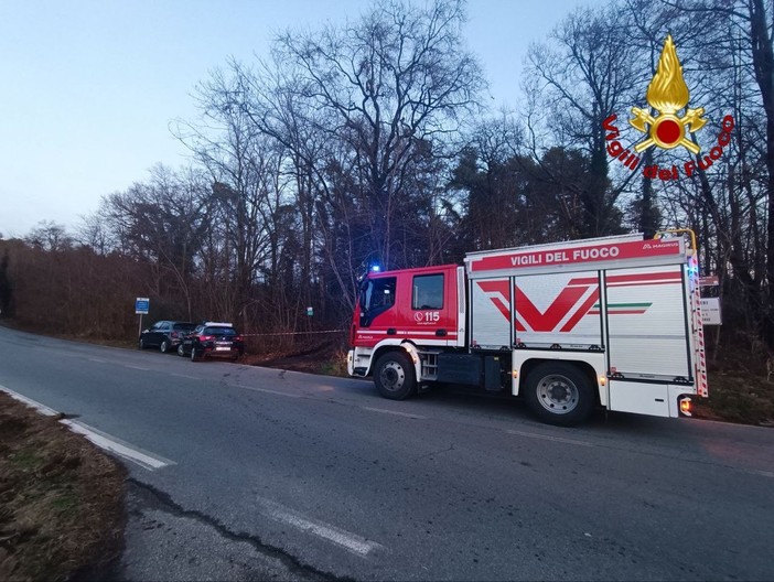 Uomo muore travolto da un albero a Castelletto Ticino