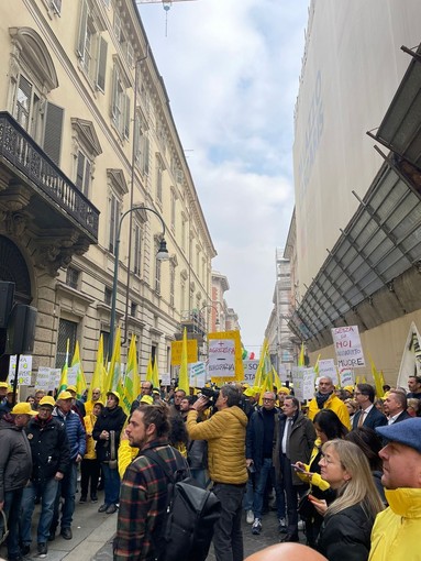 Coldiretti Novara-Vco - Folta delegazione davanti al Consiglio regionale per difendere l’agricoltura piemontese