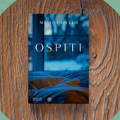 ''Ospiti'', il romanzo che racconta la vita di due italiani a Stoccolma