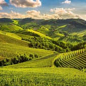 Aziende vitivinicole, in Piemonte 4.8 milioni per nuove sale degustazione e punti vendita