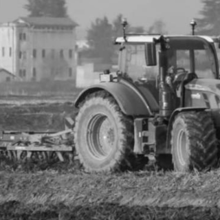 A Trecate anche la &quot;Fiera Agricola e Artigiana&quot;