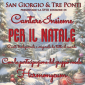 Arona, &quot;Cantare insieme per il Natale&quot;: un viaggio musicale attraverso il mondo