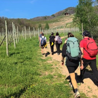 Un viaggio tra natura e tradizione: il cammino delle colline novaresi