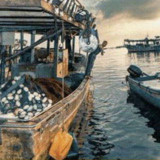 &quot;C'era una volta Gaza&quot;: la Mostra Fotografica di Paolo Trainito al Liceo Artistico Casorati