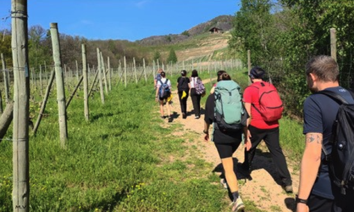 Un viaggio tra natura e tradizione: il cammino delle colline novaresi