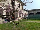 Giornate Fai di Primavera, apertura straordinaria di Villa Fortuna a Galliate