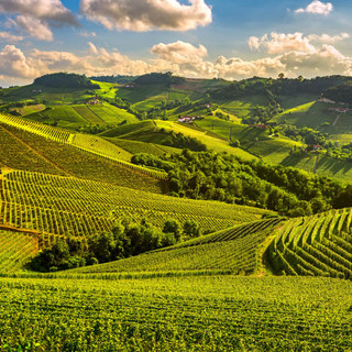 Vino, Sostantivo Femminile: sul Lago Maggiore “vetrina” per 100 produttrici