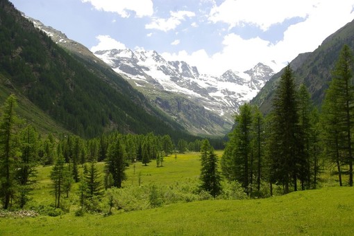 Climbing for Climate, gli atenei piemontesi uniti per sensibilizzare sui cambiamenti climatici