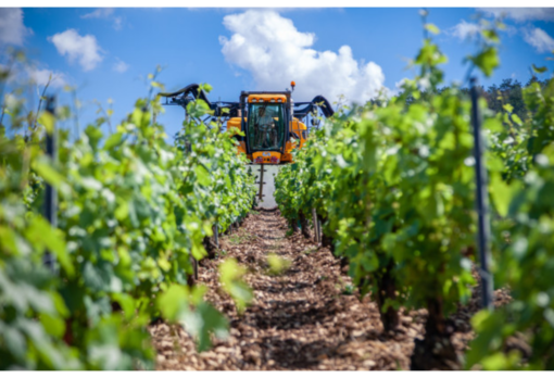 Coldiretti Piemonte, migliaia di agricoltori in piazza per difendere la salute degli italiani