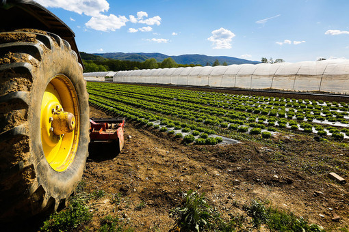 Coldiretti Piemonte, Mercosur: accordo rottama agricoltori Ue e finanzia aziende sudamericane