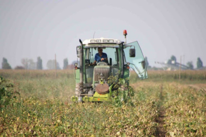 Clima e colture bio: dalla Regione arrivano 50 milioni di euro per le aziende che investono