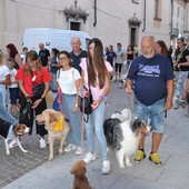 L’associazione Amici a 4 Zampe festeggia i 15 anni di attività