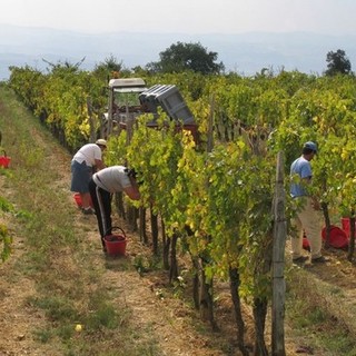 Domani dovrebbe essere firmata l'ordinanza per vietare il lavoro nelle ore più calde all'aperto