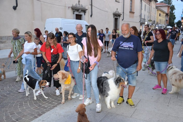 L’associazione Amici a 4 Zampe festeggia i 15 anni di attività