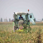 Pagamento aiuti agricoltura, Carenini (Cia): &quot;Inaccettabili i gravi ritardi della Pubblica Amministrazione&quot;