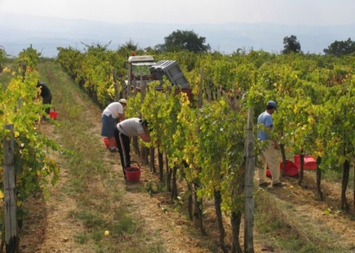 Domani dovrebbe essere firmata l'ordinanza per vietare il lavoro nelle ore più calde all'aperto