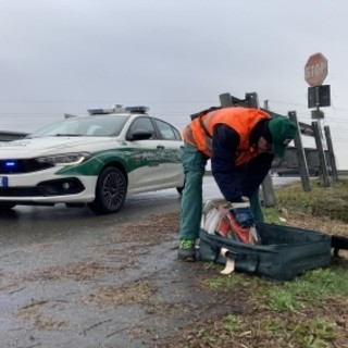 Novara, tolleranza zero per sosta abusiva e rifiuti abbandonati