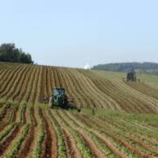 La delegazione Fai di Novara presenta il ciclo di conferenze “Agri-Cultura: accogliere il sapere della Terra”