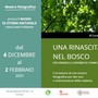 Una rinascita nel bosco: la mostra fotografica di Luca Tresoldi al Museo Faraggiana Ferrandi