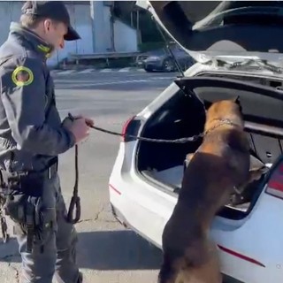 Cronaca dal nord ovest. Guardia di finanza, arrestati due corrieri di droga in possesso di oltre 3 chili di sostanze VIDEO