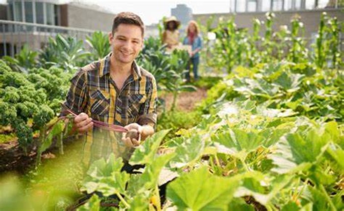 Il bando da 45 milioni di euro con il &quot;pacchetto&quot; per i giovani agricoltori slitta al 15 aprile