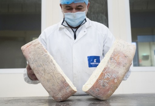 Gorgonzola Dop, nel 2024 record assoluto di produzione