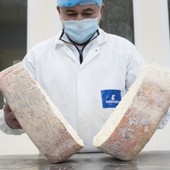 Gorgonzola Dop, nel 2024 record assoluto di produzione