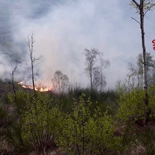 Rischio incendi boschivi, dalla Regione quasi 5 milioni per la prevenzione