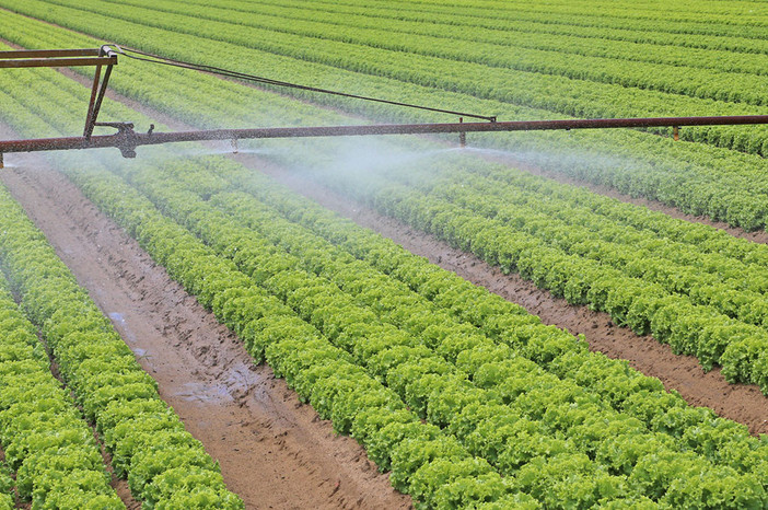 Coldiretti, pozzi irrigui: servono proroga per il ricondizionamento e risorse economiche