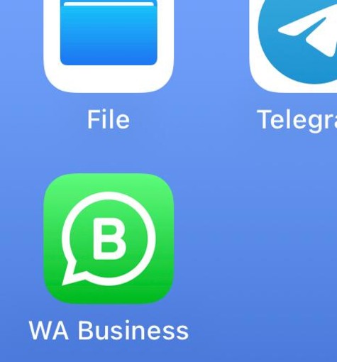 WhatsApp in tilt: problemi per la app di Meta