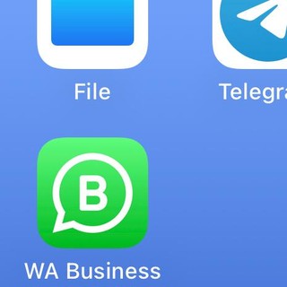 WhatsApp in tilt: problemi per la app di Meta