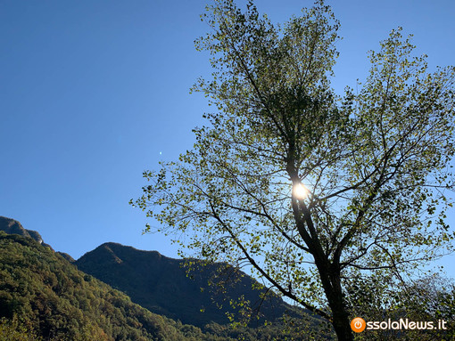 La primavera è in arrivo: temperature sopra la media stagionale nei prossimi mesi