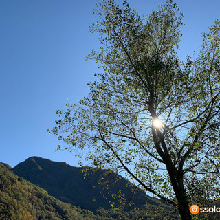 La primavera è in arrivo: temperature sopra la media stagionale nei prossimi mesi