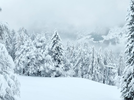 Manca la neve, l'allarme di Coldiretti: &quot;Agricoltura e turismo in pericolo&quot;