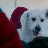 Tutti vogliono bene al cane di Superman