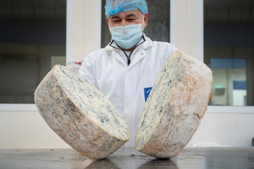 Gorgonzola Dop:  oltre 2 milioni di forme esportate nel 2023