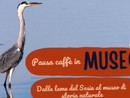 Esplorando il Museo: &quot;Pausa caffè&quot; tra le Curiosità