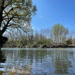 &quot;Fiumi e territorio&quot;, una serata di divulgazione alla scoperta della natura