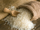 Regione, attivo il servizio di allerta per la difesa da brusone del riso