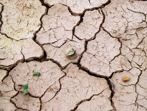 Caldo record e siccità, 2023 anno più bollente di sempre. Coldiretti: &quot;Basta agire solo dopo le emergenze&quot;