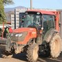 L’assessorato all’agricoltura di Trecate organizza la tradizionale festa di Sant’Antonio Abate