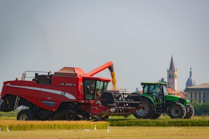 Fiera agricola e artigiana dei santi patroni Clemente e Cassiano a Trecate